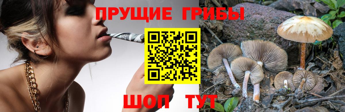 Галлюциногенные грибы Magic Shrooms Петрозаводск